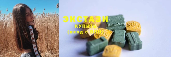 СК Богородицк