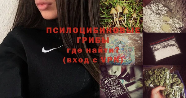 СК Богородицк