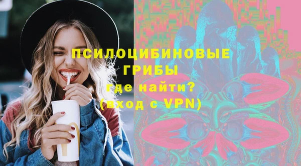 ешки Богданович