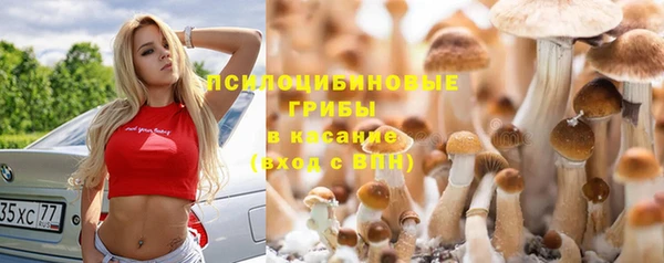 СК Богородицк